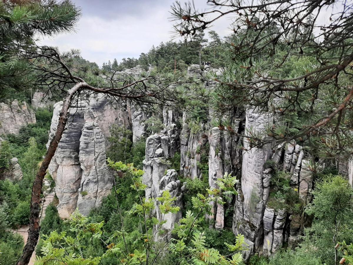 BozkovskaChata Salicka Bozkov别墅 外观 照片